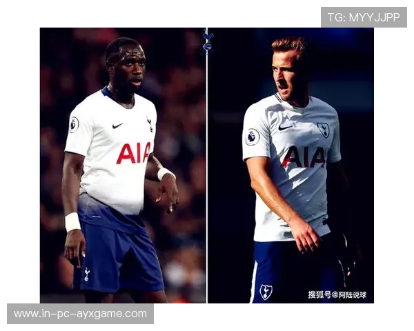 澳波战术取舍成就冠军之路